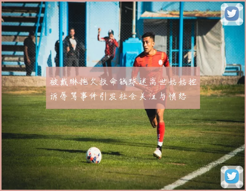 被戴琳拖欠救命钱球迷离世姑姑控诉辱骂事件引发社会关注与愤怒