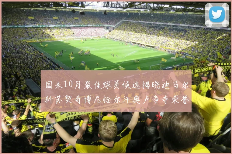 国米10月最佳球员候选揭晓迪马尔科苏契奇博尼恰尔汗奥卢争夺荣誉