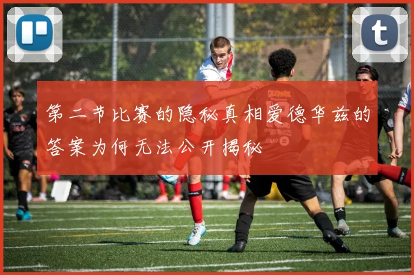第二节比赛的隐秘真相爱德华兹的答案为何无法公开揭秘