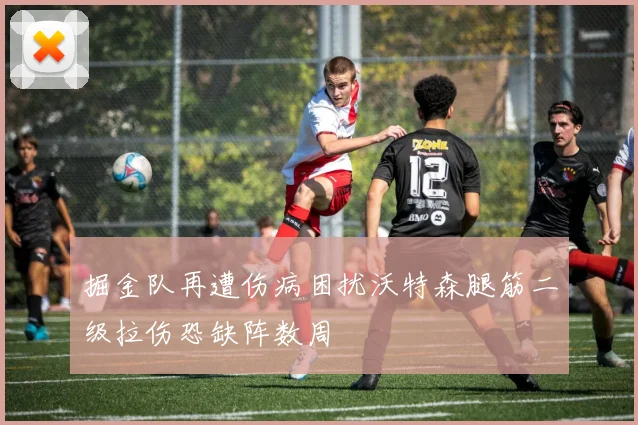 掘金队再遭伤病困扰沃特森腿筋二级拉伤恐缺阵数周