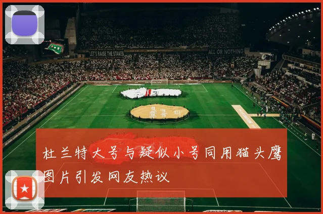 杜兰特大号与疑似小号同用猫头鹰图片引发网友热议