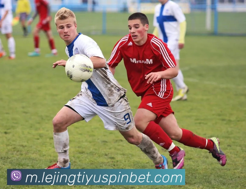 乐竟体育平台生态图